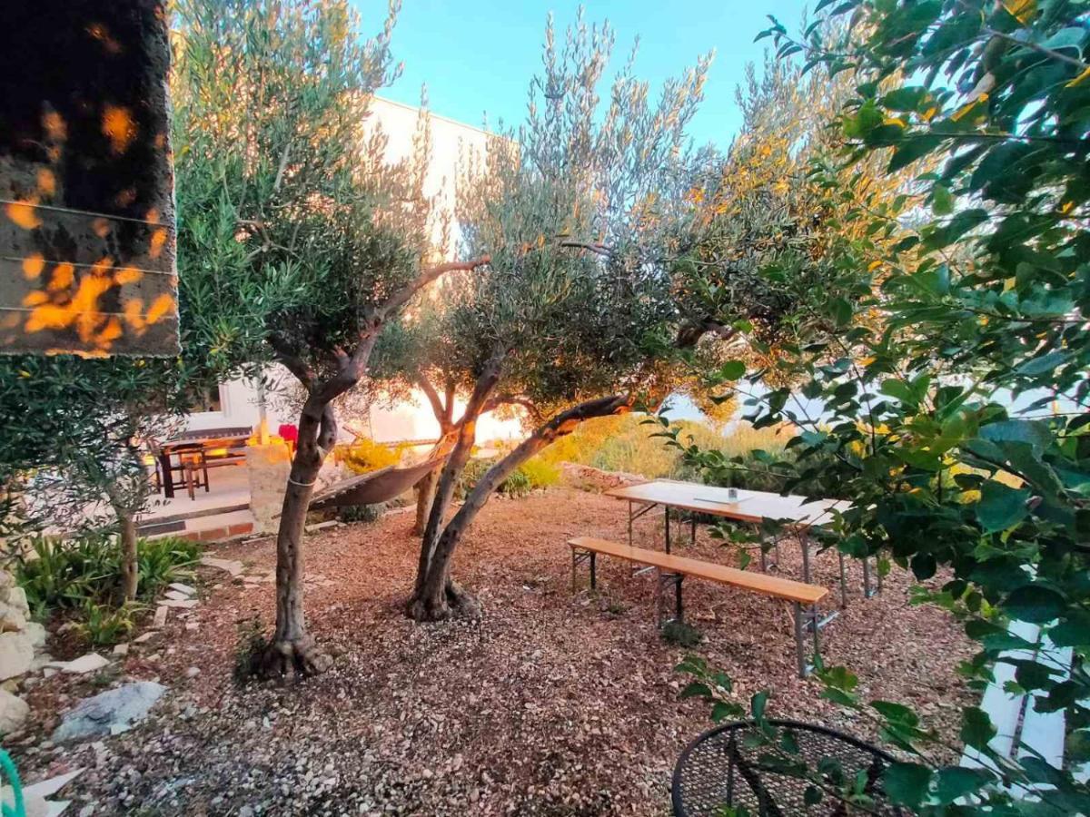 Apartment Croatia Art ドラスニセ エクステリア 写真