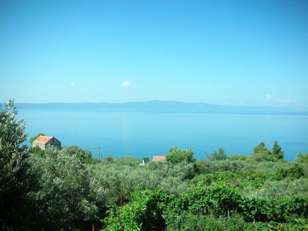 Apartment Croatia Art ドラスニセ エクステリア 写真